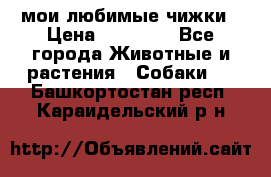 мои любимые чижки › Цена ­ 15 000 - Все города Животные и растения » Собаки   . Башкортостан респ.,Караидельский р-н